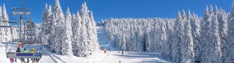 Next winter